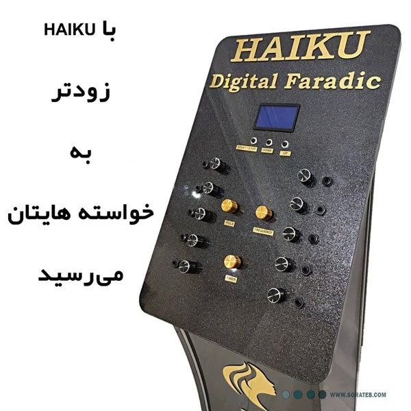 دستگاه لاغری و عضله ساز فارادیک 10 کانال هایکو (Haiku)