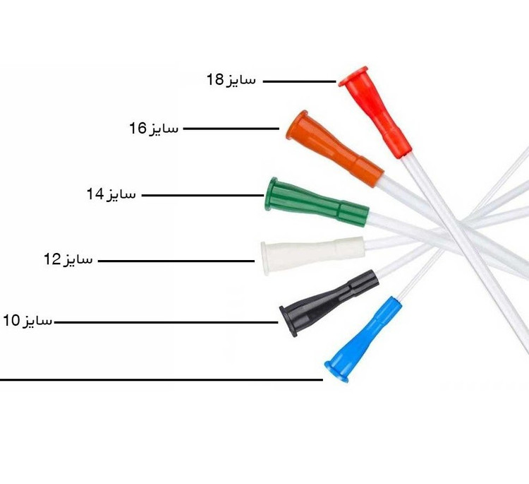 سوند نلاتون گلپسند درجه یک تمامی سایزها