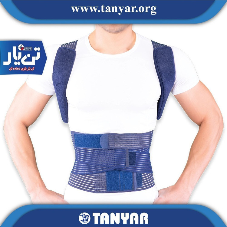 قوزبند کمربند صادراتی (T.L.S.O) تن یار