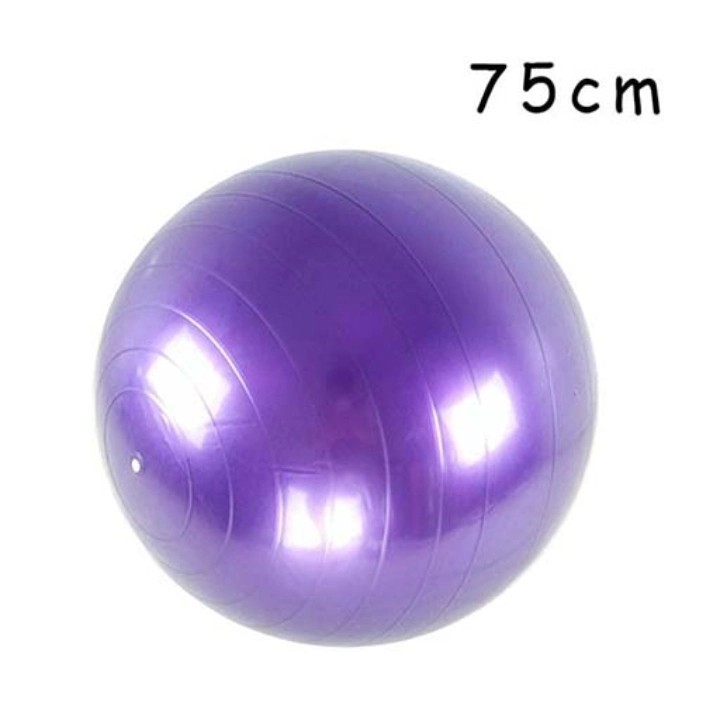 توپ جیم بال سایز 75 مقاوم Swiss Ball